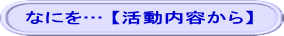 なにを… 【活動内容から】